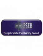 Punjab State Electricity Board