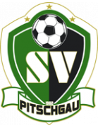 SV Pitschgau Jugend (-2019)