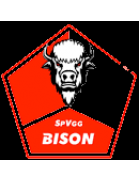 SpVgg Bison