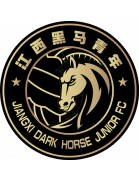Jiangxi Dark Horse Junior