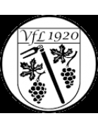 VfL Gundersheim II