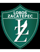 Club Deportivo Lobos Zacatepec U20
