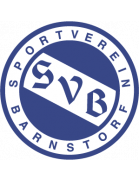 SV Barnstorf II