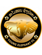 Young Elephants II