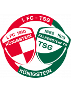 1.FC-TSG Königstein Jugend