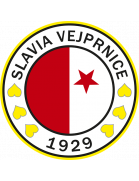SK Slavia Vejprnice Youth