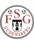 FSG Gudensberg U17
