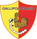 Gallipoli Football 1909
