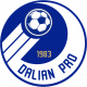 Dalian Professional (2009-2024)