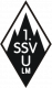 1.SSV Ulm 1928 (- 1970)
