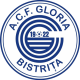 CF Gloria Bistrita (- 2015)