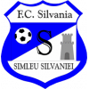 FC Silvania Simleu Silvaniei ( - 2011)