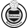 BSV Gelenau