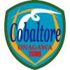 Cobaltore Onagawa