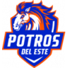 Club Deportivo del Este