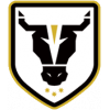 Bulls FC Academy