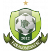 Paragominas Futebol Clube (PA)