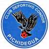 Condor de Pichidegua