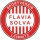 SV Flavia Solva Youth