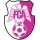 FC Arges Pitesti ( - 2013)