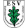 Eichholzer SV U17