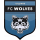 FC Tallinna Wolves