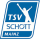 TSV Schott U17