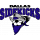 Dallas Sidekicks (1984-2004)