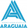 AA Araguaia