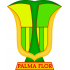 Atlético Palmaflor