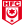 Hallescher FC Giovanili