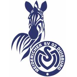 MSV Duisburg Youth