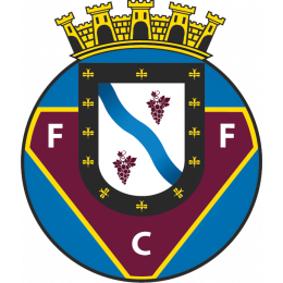 FC Felgueiras Onder 19
