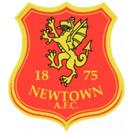Newtown AFC Development Team