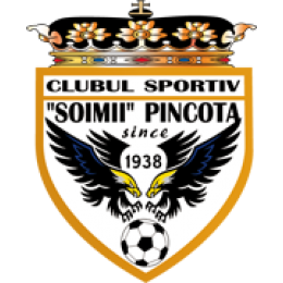 CS Soimii Pancota (1938 - 2016)