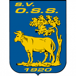 SV OSS '20 Academy