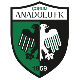 Corum Anadolu Futbol Kulübü