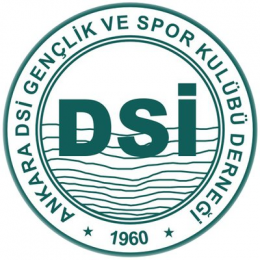 Ankara DSI Spor