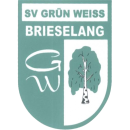 Grün-Weiß Brieselang U19