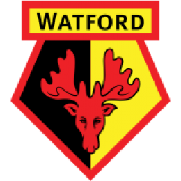 FC Watford Juvenis
