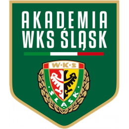 Akademia Piłkarska Śląsk Wrocław