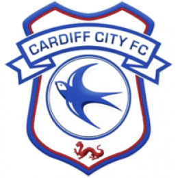 Cardiff City Jugend