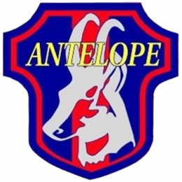 Antelope Shiojiri