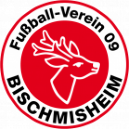 FV Bischmisheim II
