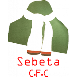 Sebeta Kenema FC
