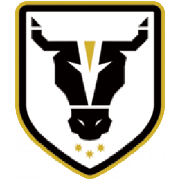 Bulls FC Academy