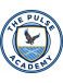The Pulse Academy