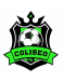 Coliseo FC de Algarrobo