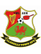 Llanelli Town AFC Development Team
