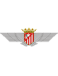 Atlético-Aviación